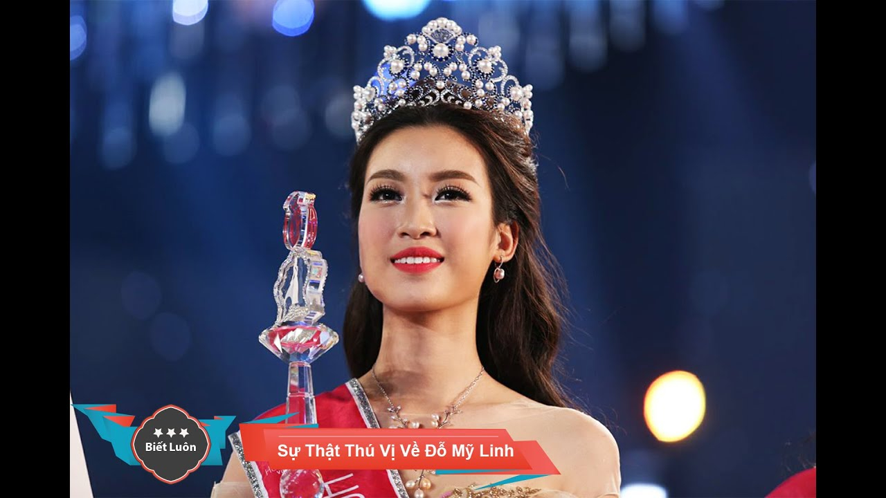 Chính sách đại lý của Hotspot Matrix: Cơ hội hợp tác bền vững trong ngành video ngắn_video ngắn trên TikTok