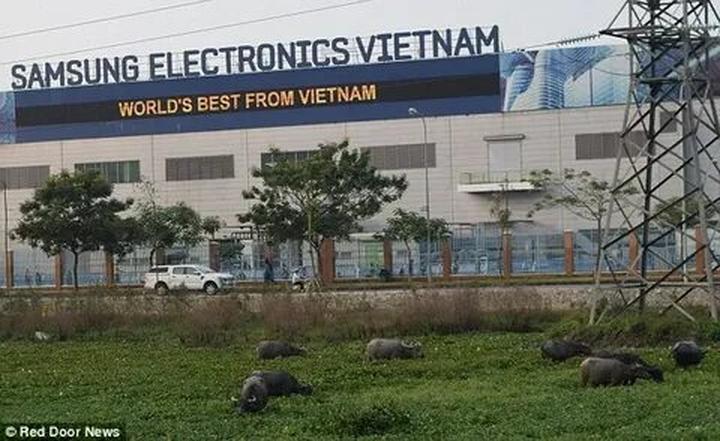 Hotspot Matrix: Biến Thông tin về tình đầu của thành cơ hội marketing đột phá